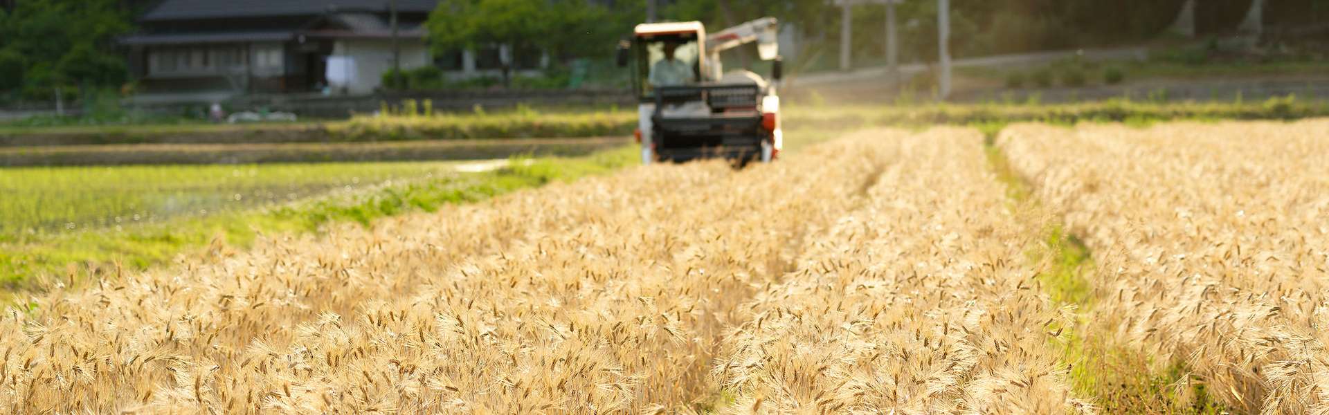 株式会社こばふぁーむ