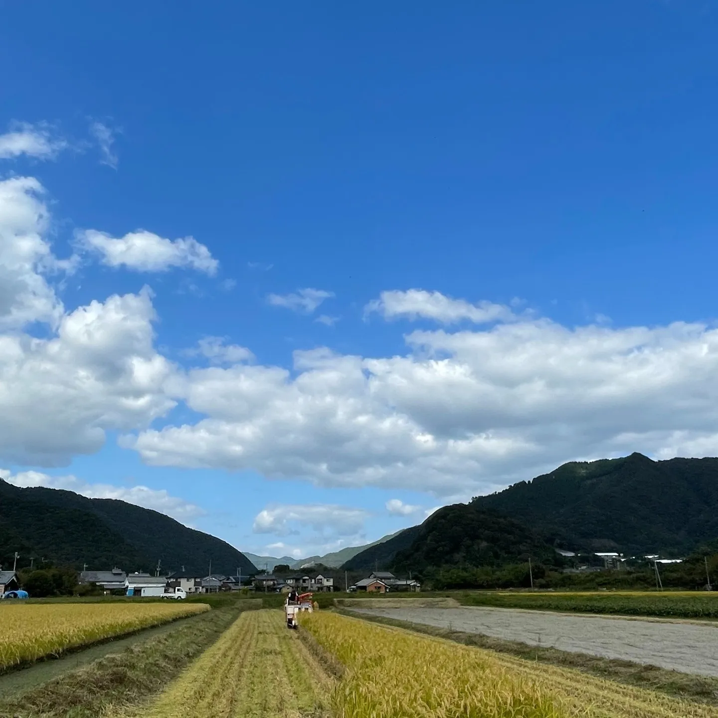 【姫路】こばファームで自然栽培されたお米の稲刈りが行われまし...