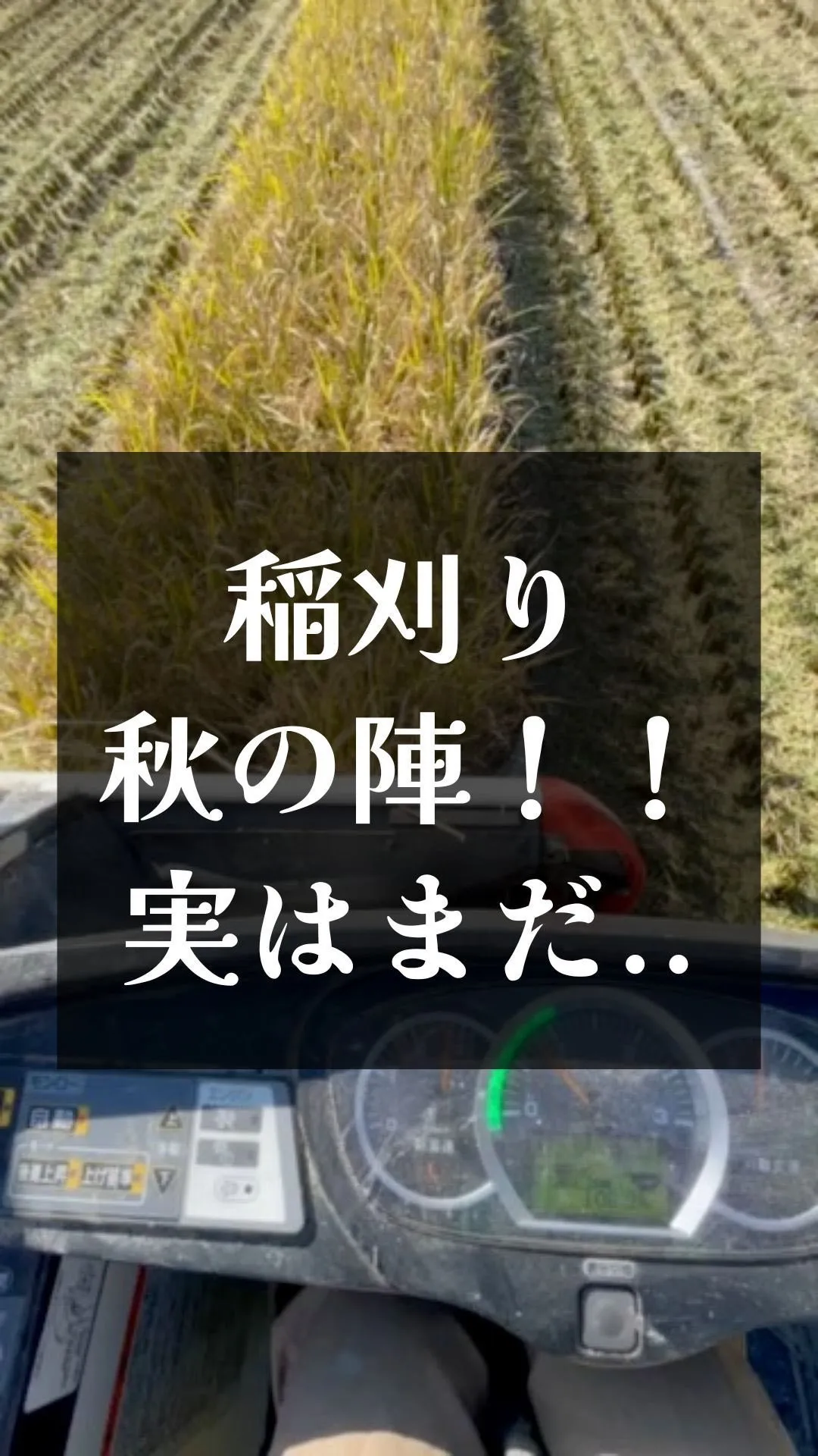 10月頭に始まった稲刈り。